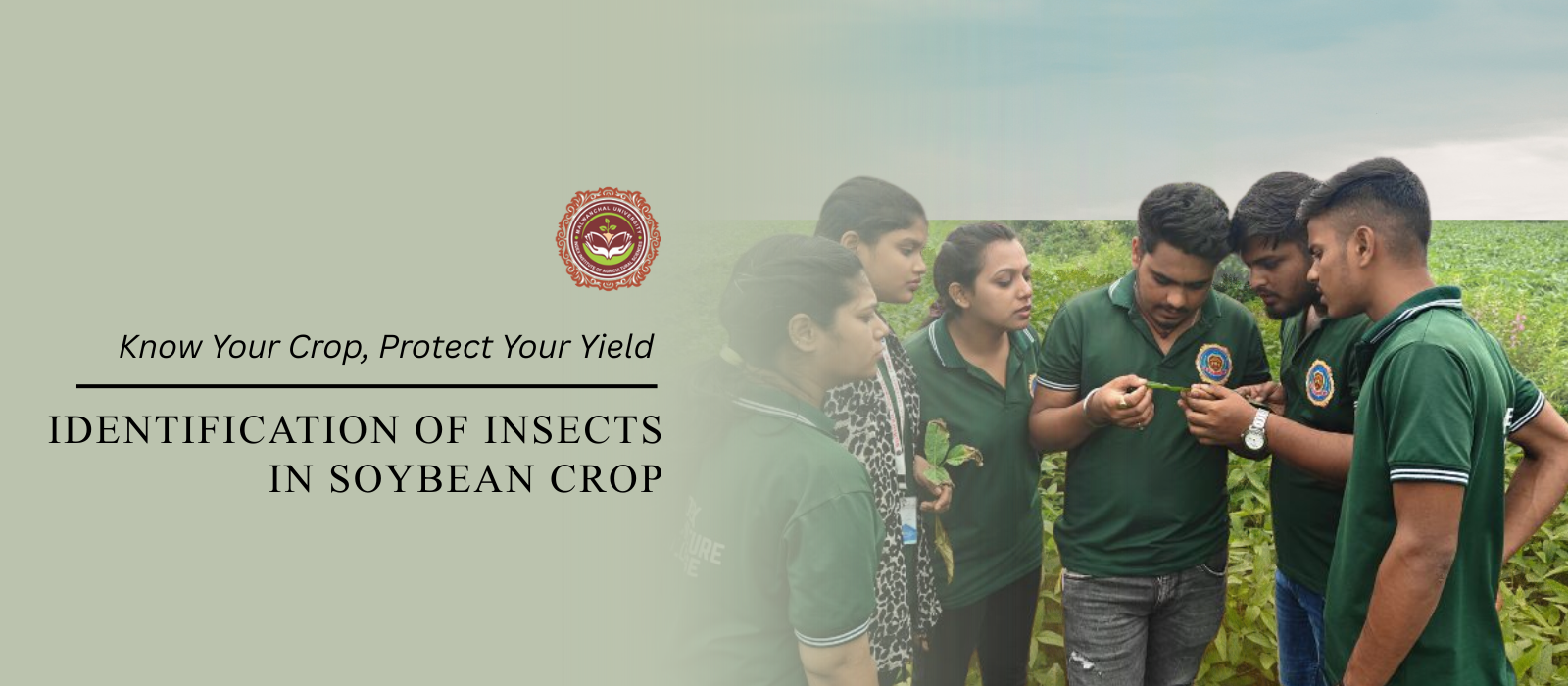 Index Institute of Agricultural Sciences